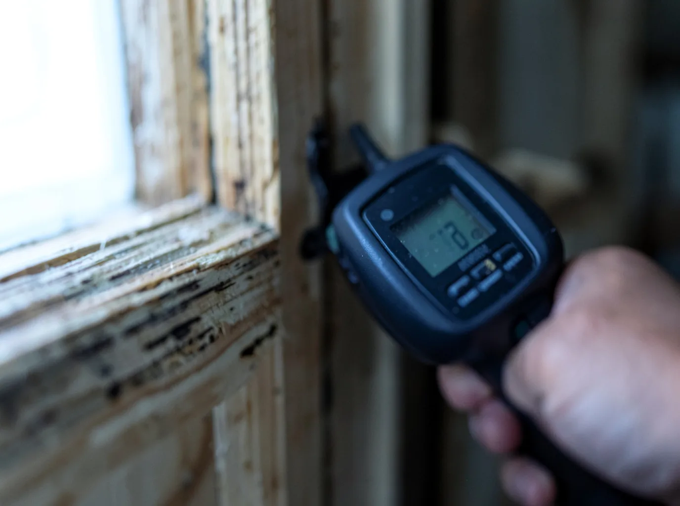 Moisture Inspection And Documentation in Loretto, KY